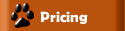 Pricing